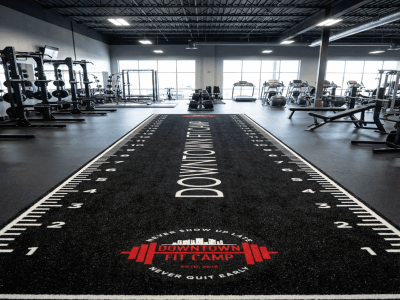 microscopic view of turf fibers